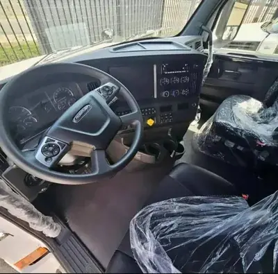 Freightliner steering wheel and driver controls